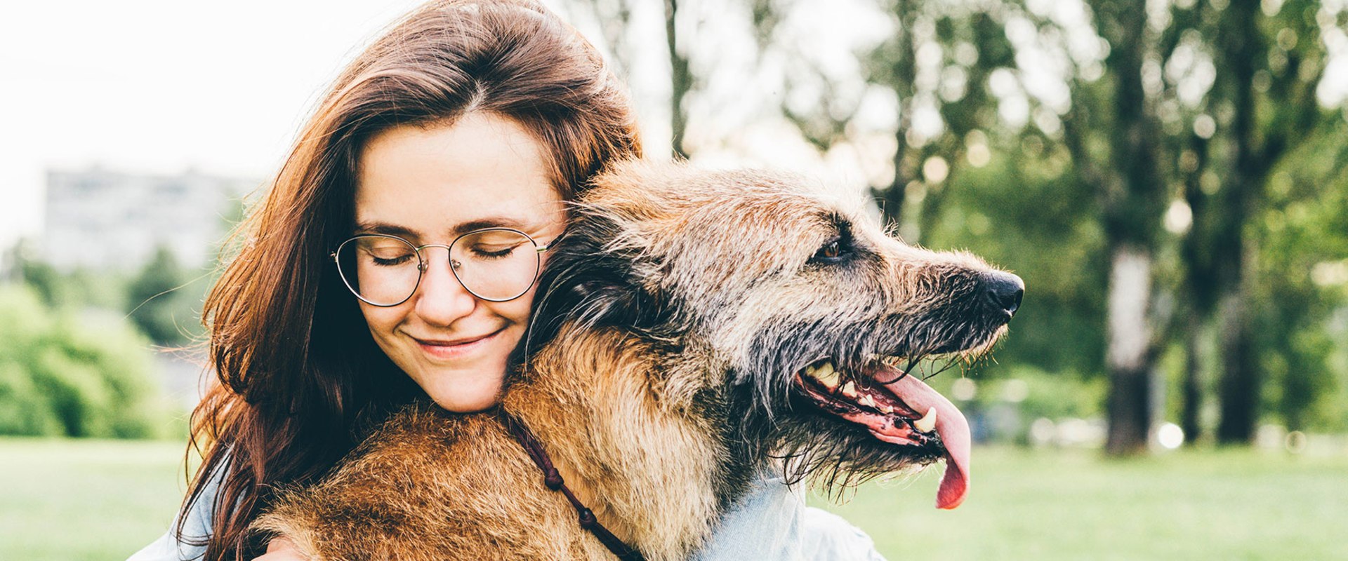 Senior Dog Care: What Every Dog Owner Should Know