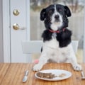 The Importance of Proper Dog Food Portions for Optimal Health